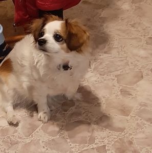 Meet your Posher, Danika